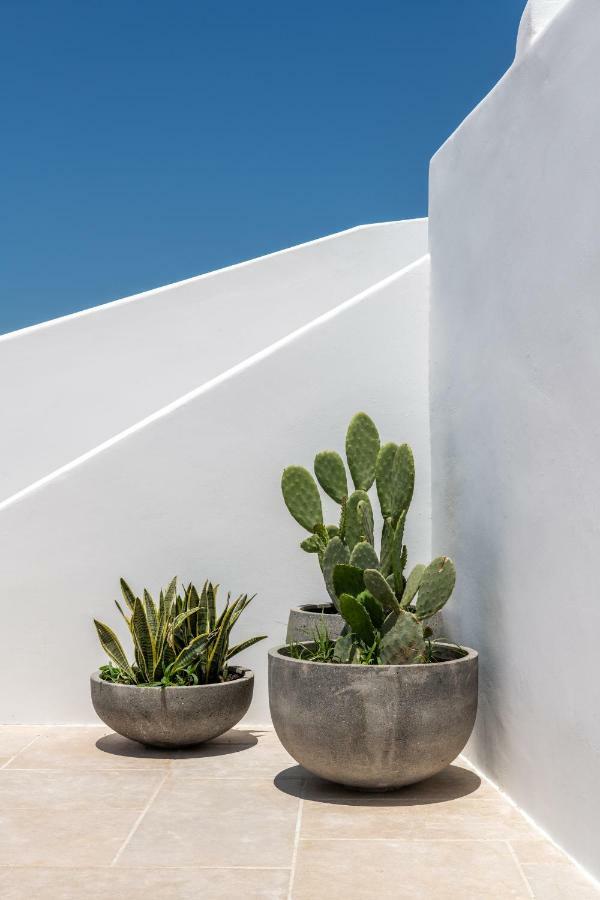 Avra Mykonos Hotell Tourlos Eksteriør bilde